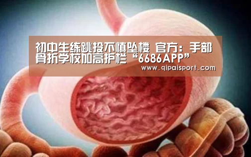 6686比分