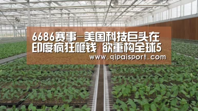 6686赛事-美国科技巨头在印度疯狂砸钱 欲重构全球5G格局(图2) 6686赛事-美国科技巨头在印度疯狂砸钱 欲重构全球5G格局(图2)