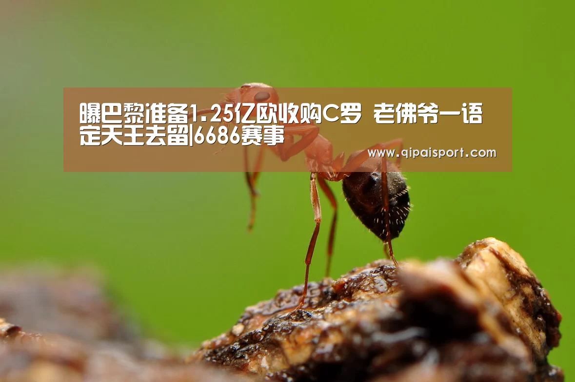 曝巴黎准备1.25亿欧收购C罗 老佛爷一语定天王去留|6686赛事(图2) 6686赛事