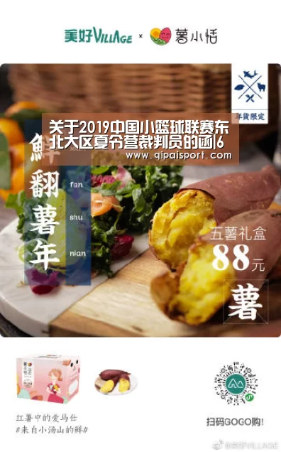 6686比分