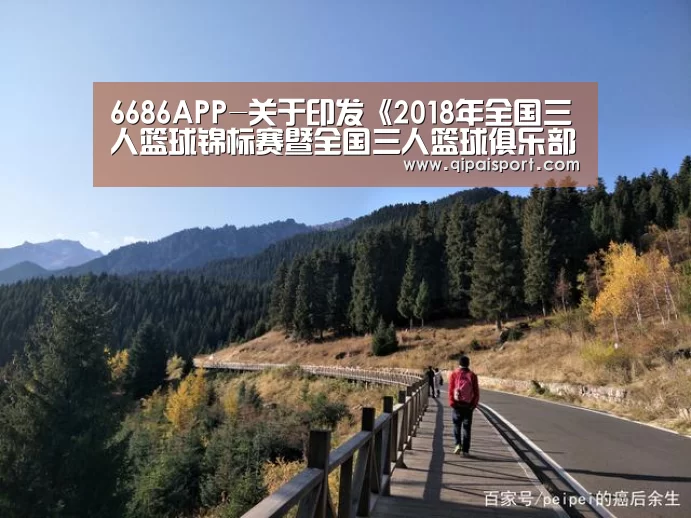 6686推荐