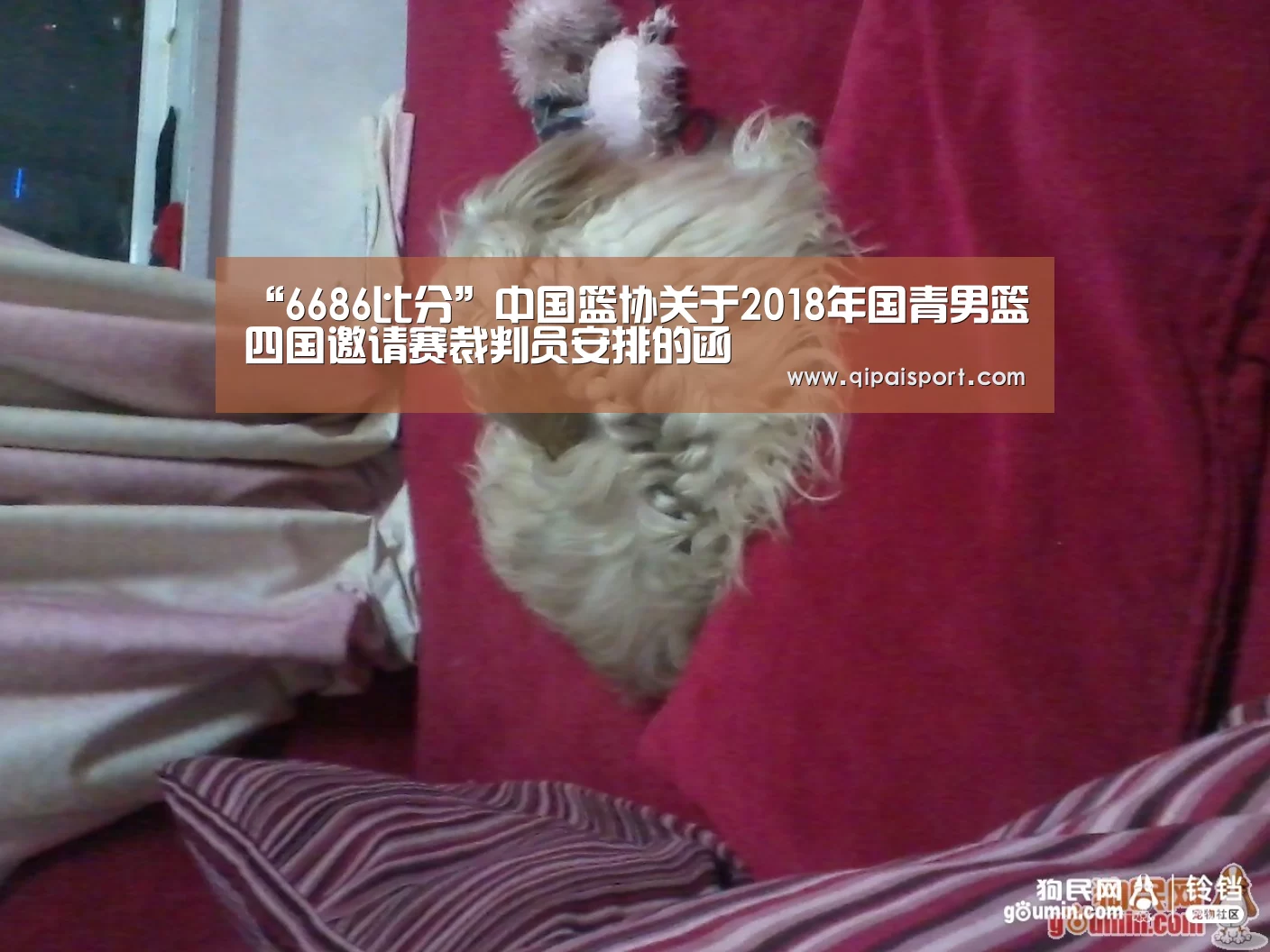 “6686比分”中国篮协关于2018年国青男篮四国邀请赛裁判员安排的函(图2) 6686推荐