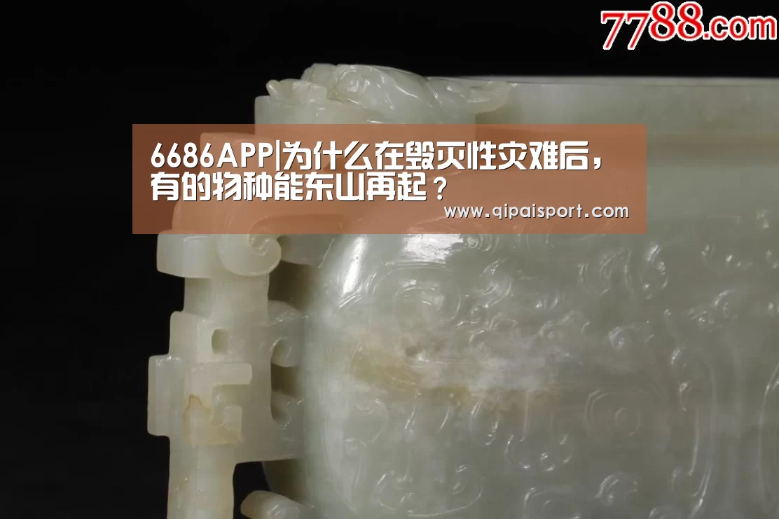 6686APP|为什么在毁灭性灾难后,有的物种能东山再起?(图1) 6686比分