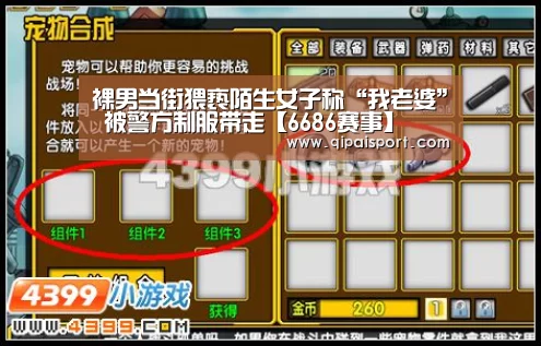 6686比分